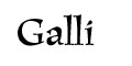 Galli menu and coupons