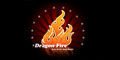 Dragon Fire menu and coupons